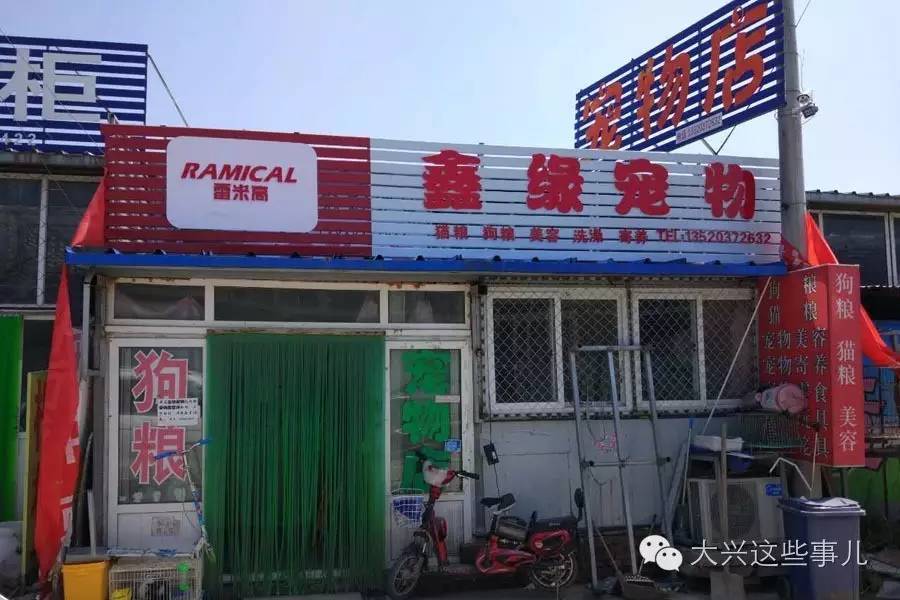 采育開發(fā)區(qū)最新招聘，科技前沿引領(lǐng)未來生活新紀(jì)元啟航點(diǎn)