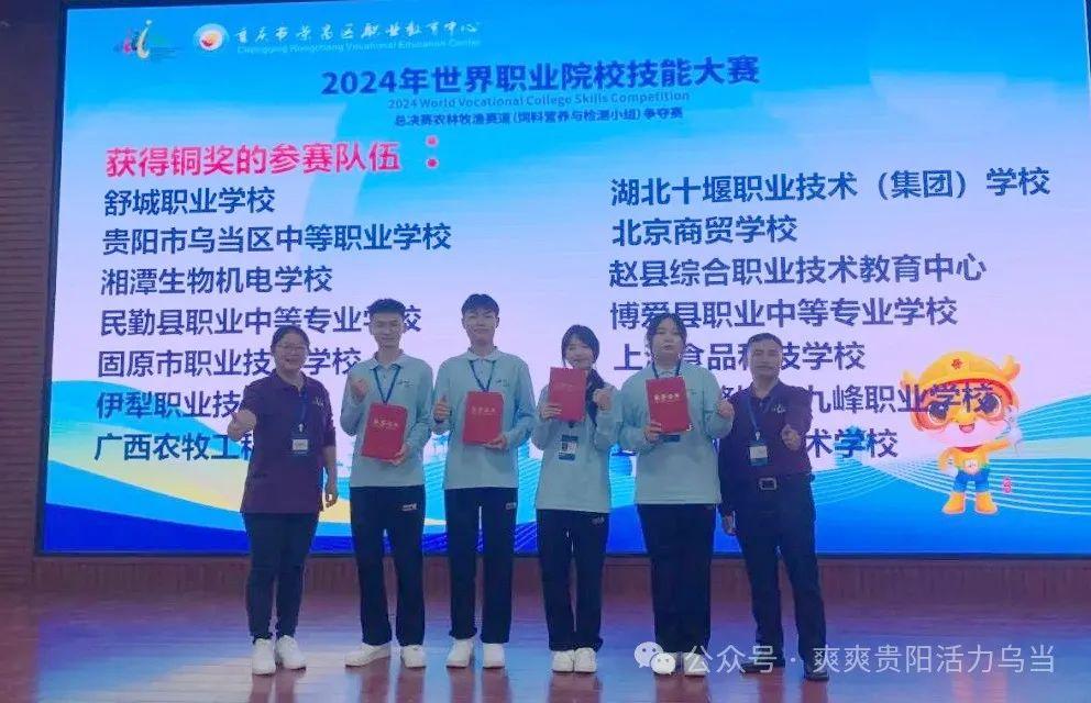 2024旺族飼料最新消息,2024旺族飼料最新消息，了解與選擇指南